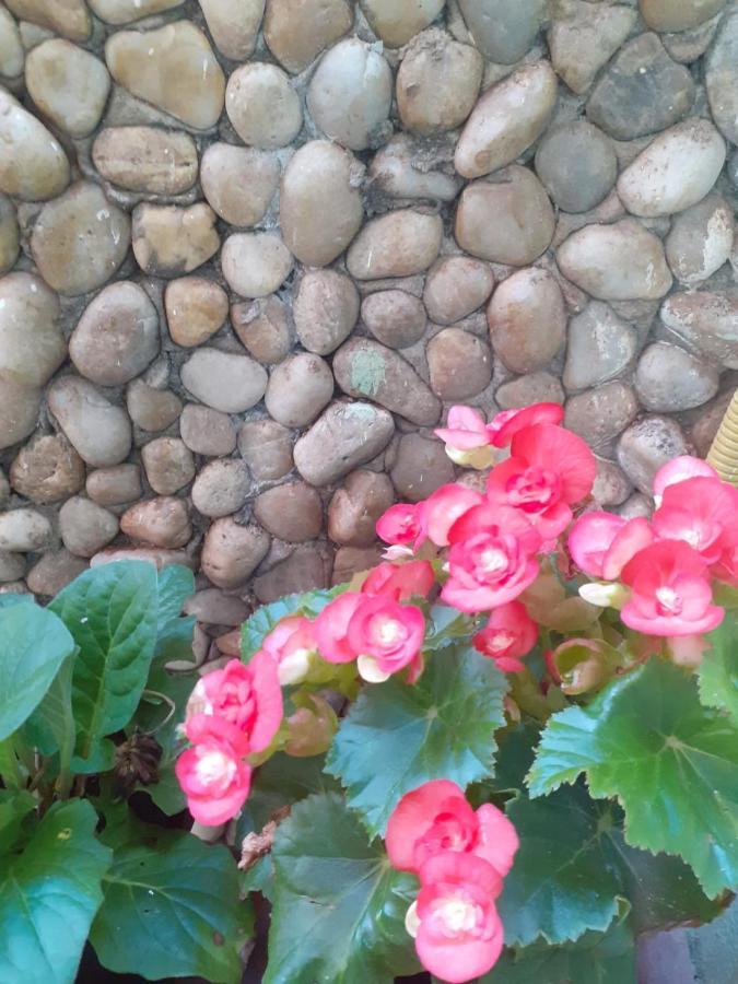 Pousada Recanto Das Flores ปรายาจิมอยตัส ภายนอก รูปภาพ